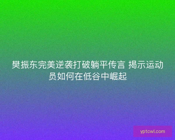 樊振东完美逆袭打破躺平传言 揭示运动员如何在低谷中崛起