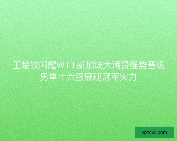 王楚钦闪耀WTT新加坡大满贯强势晋级男单十六强展现冠军实力 王楚钦闪耀WTT新加坡大满贯强势晋级男单十六强展现冠军实力